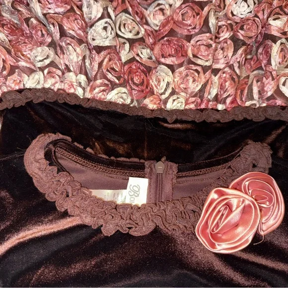 Bonnie Jean Brown Velvet Dress with Pink Floral Rosette - Picture 4 of 5